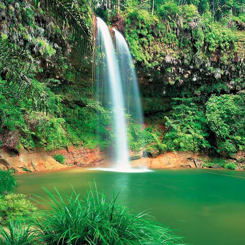 Bako Nationalpark