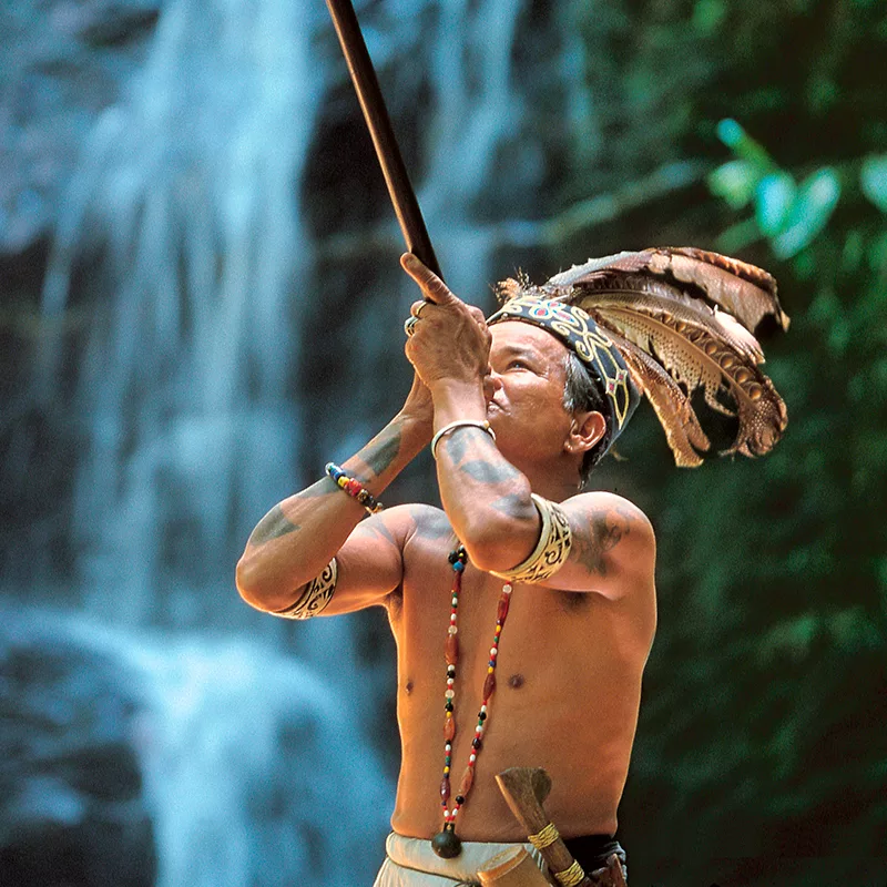 Bidayuh Stammens Langhus