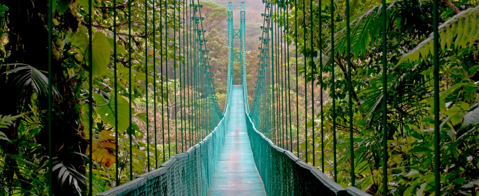 Hanging Bridge Monteverde Cloud Forest