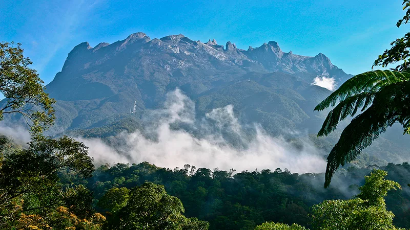 Mount Kinabalu Park og Poring Hot Spring