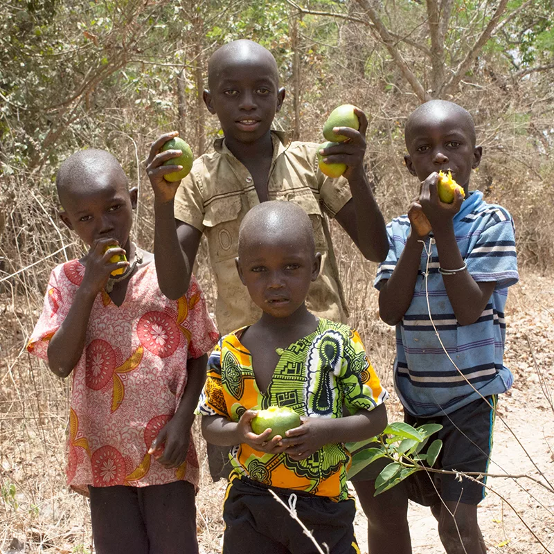 South Gambia Safari