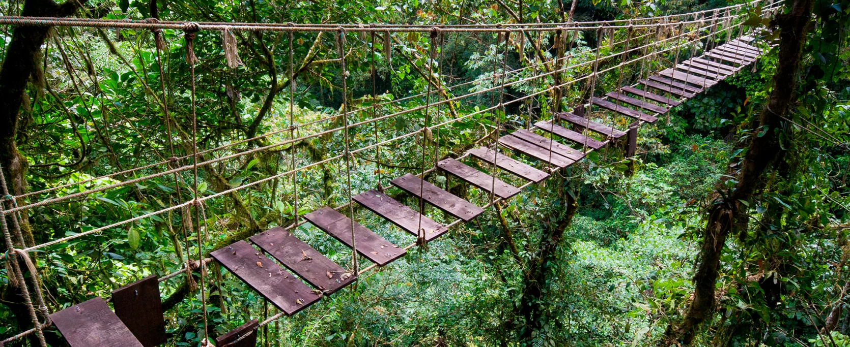 Old Suspension Bridge In Rainforest Of Costa Rica