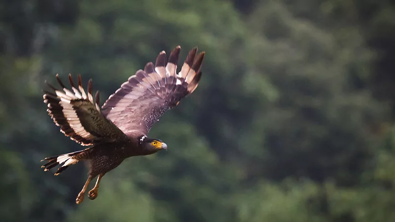 Hua Hin: Sam Roi Yod Nationalpark
