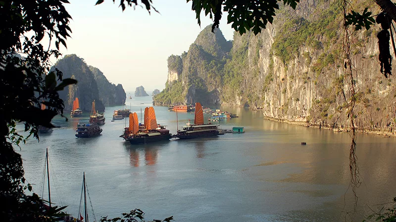 Hanoi: Afslappende sejlads i Ha Long bugten