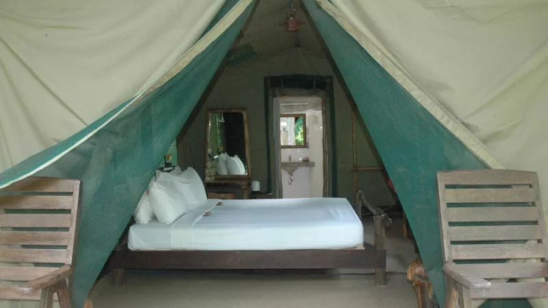 Elephant Hills Jungle Camp