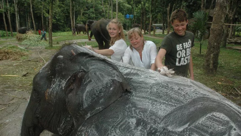 Elephant Hills Jungle Camp