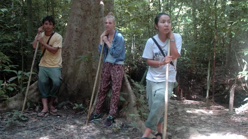 Elephant Hills Jungle Camp