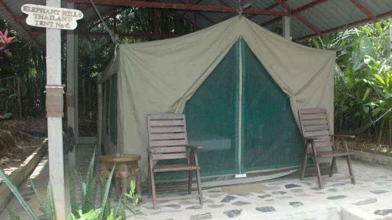 Elephant Hills Jungle Camp