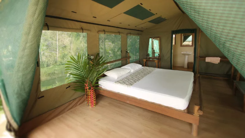 Elephant Hills Jungle Camp