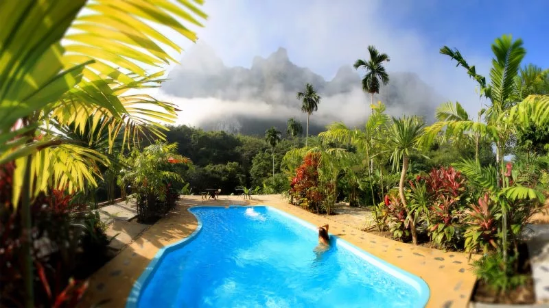 Elephant Hills Jungle Camp