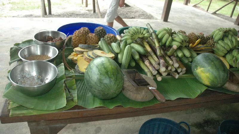 Elephant Hills Jungle Camp