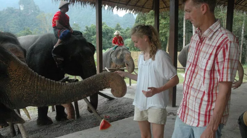Elephant Hills Jungle Camp