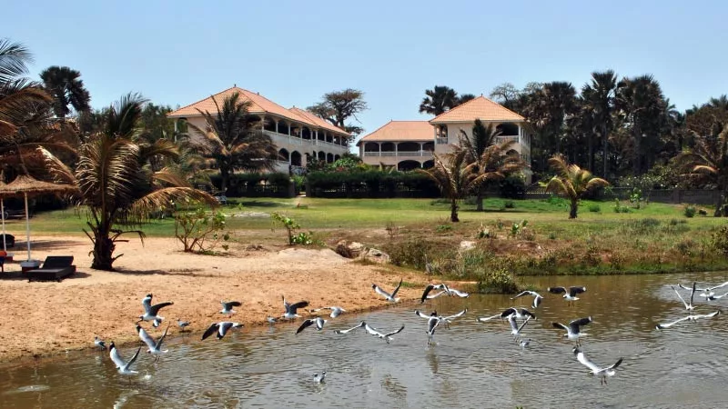 Lemon Creek Hotel Resort