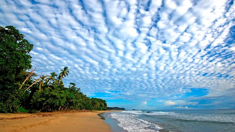 Cariblue Beach And Jungle Resort