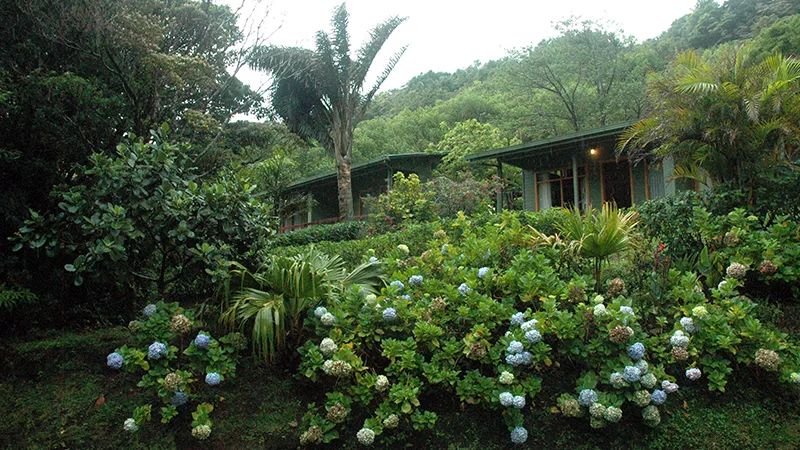 Cloud Forest Lodge