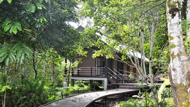 Mulu National Park HQ