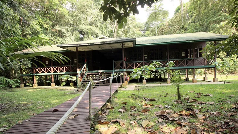 Mulu National Park HQ