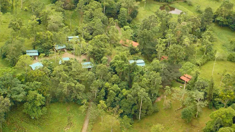 Selva Bananito Lodge