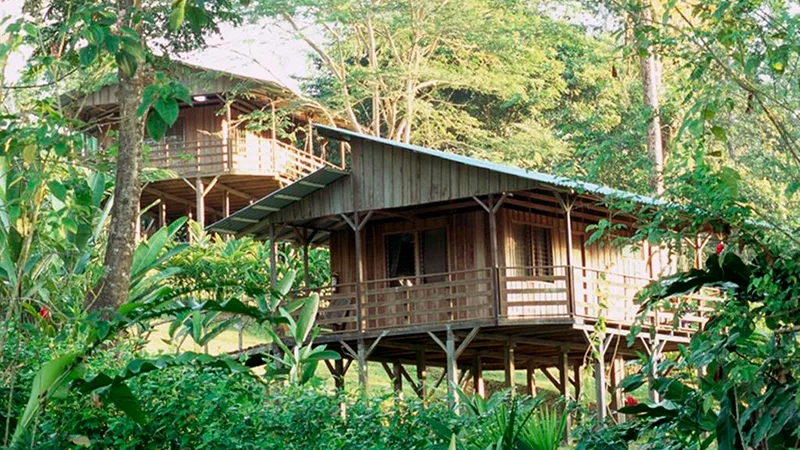 Selva Bananito Lodge