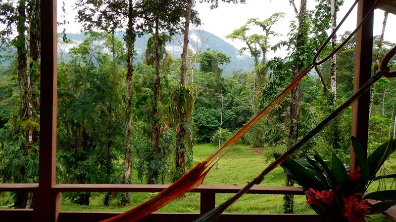 Selva Bananito Lodge
