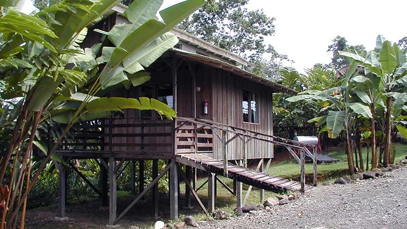 Selva Bananito Lodge