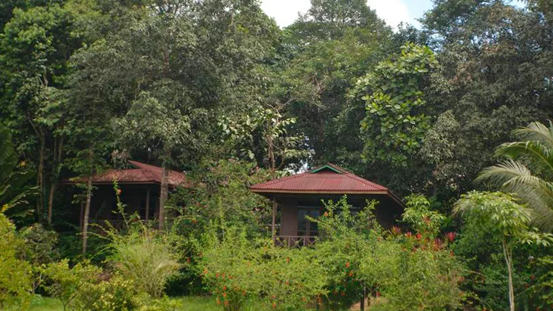 Sepilok Forest Edge Resort