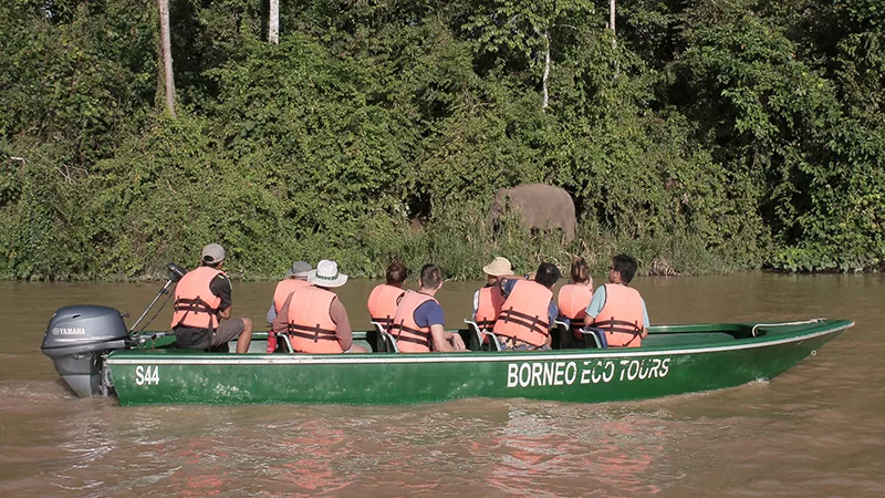 Sukau Rainforest Lodge