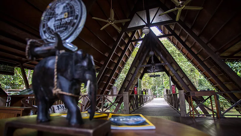 Sukau Rainforest Lodge