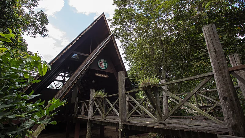 Sukau Rainforest Lodge