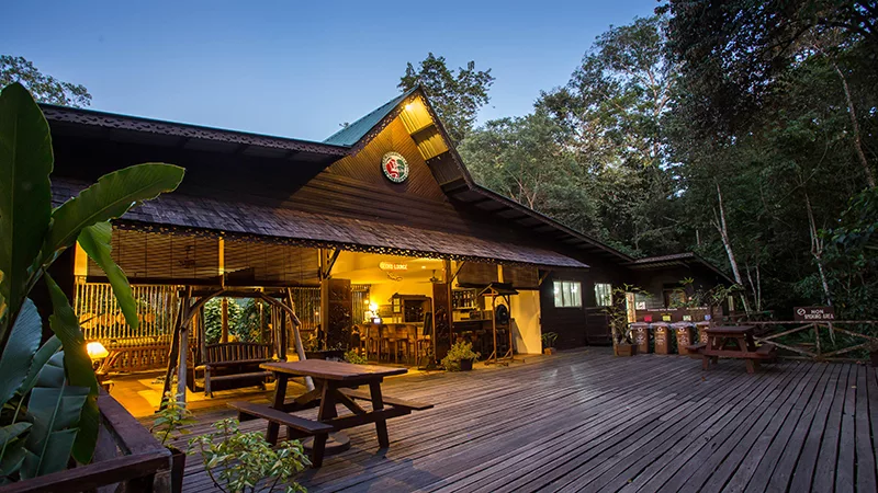 Sukau Rainforest Lodge