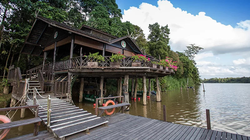 Sukau Rainforest Lodge