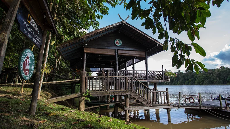 Sukau Rainforest Lodge