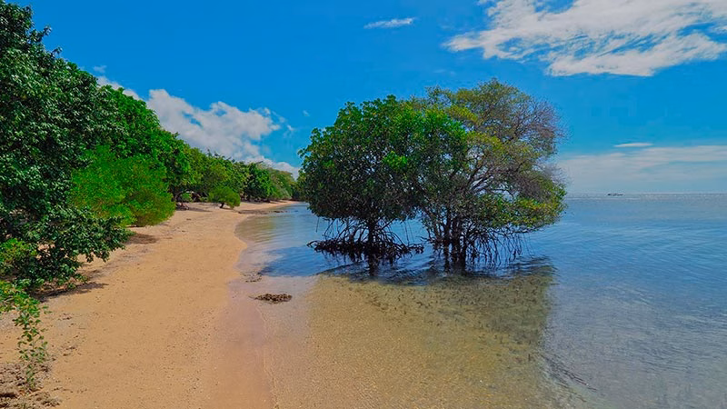 The Menjangan At Monsoon