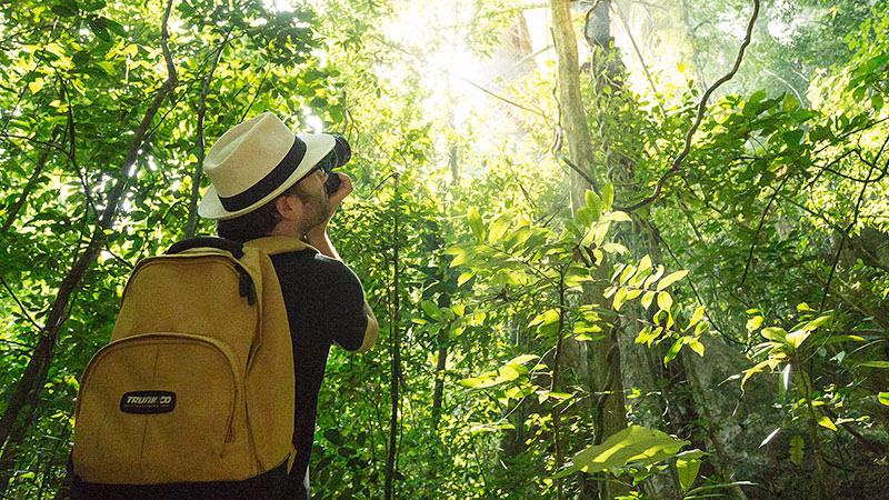 T Elephant Hills Luxury Tented Camp Khao Sok National Park Thailand Activities Jungle Trekking