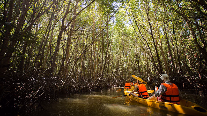 T Elephant Hills Luxury Tented Camp Khao Sok National Park Thailand Nature Safari Tour NS