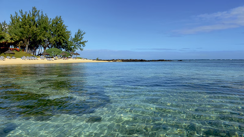 Canonnier Beachcomber