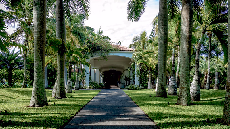 Mauricia Beachcomber