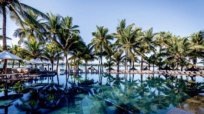 Mauricia Beachcomber