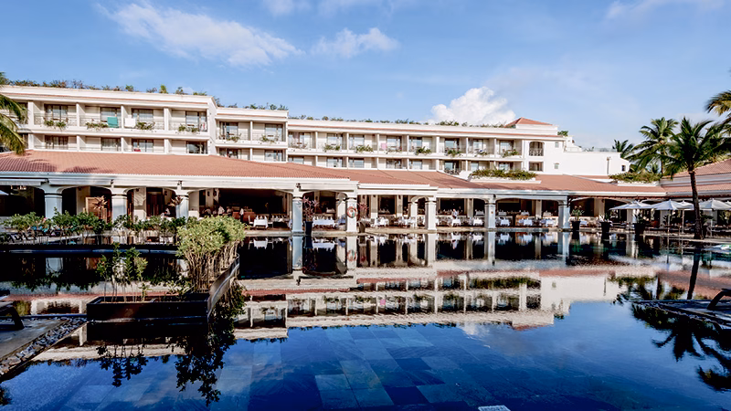 Mauricia Beachcomber