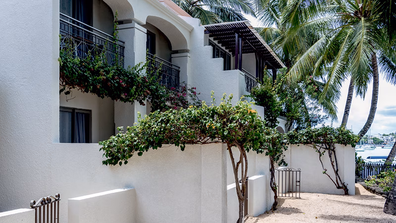 Mauricia Beachcomber