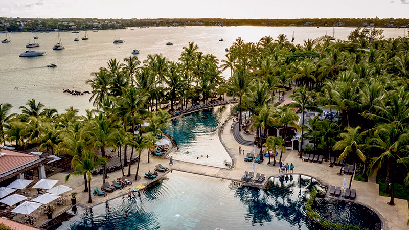 Mauricia Beachcomber