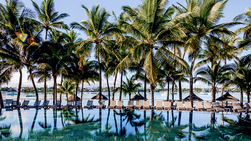 Mauricia Beachcomber