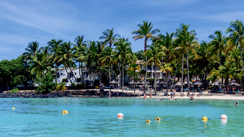 Mauricia Beachcomber