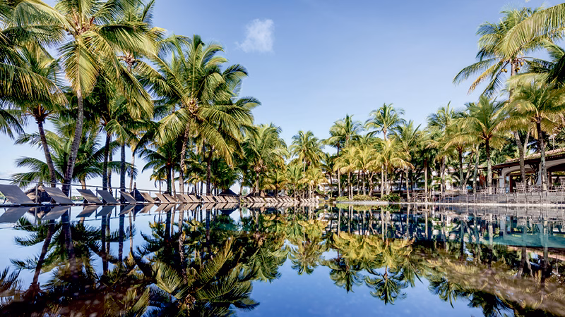 Mauricia Beachcomber