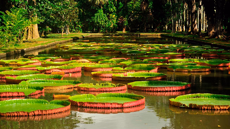 Veranda Pointes Aux Biches