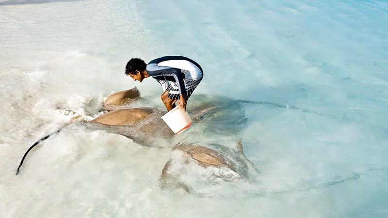 Banyan Tree Vabbinfaru