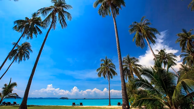 Phi Phi Island Village Beach Resort