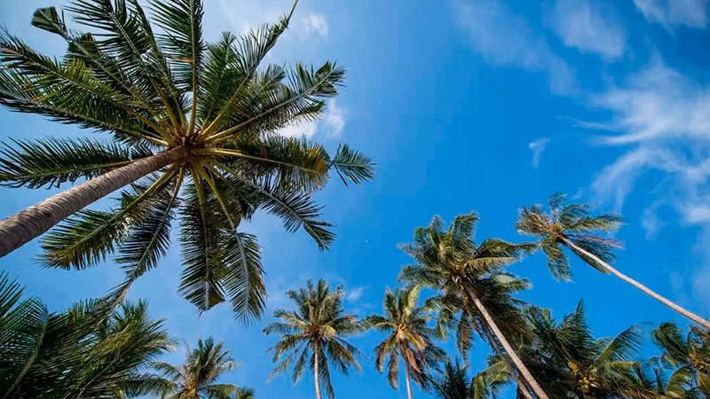 Seavana Koh Mak