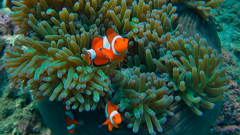 Ten Moons Lipe Beach Resort