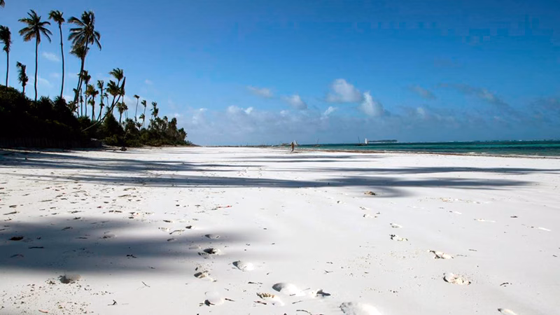 Zanzibar Retreat Hotel